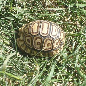 Picture 002 (Small).jpg