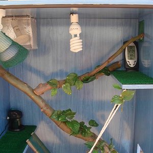 Interior superior.JPG