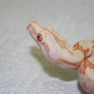 IMG_0377 (Small).JPG