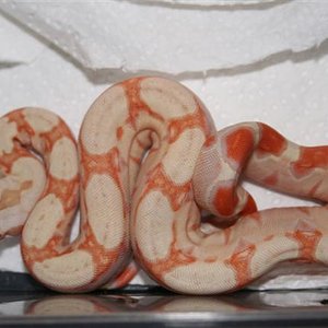 IMG_0380 (Small).JPG