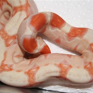 IMG_0381 (Small).JPG