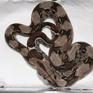 IMG_0383 (Small).JPG