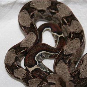 IMG_0384 (Small).JPG