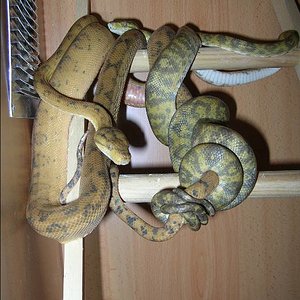 Copia de DSCN8103.JPG