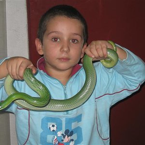 Samuel con Rhynchophis 003 (Small).jpg