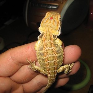 pogos2ª 010 (Medium).jpg