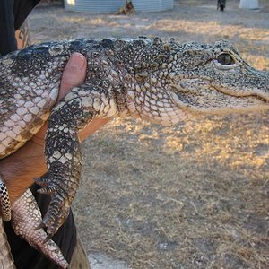 IMG_0252 (Medium).JPG