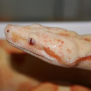 IMG_0445 (Small).JPG