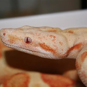 IMG_0449 (Small).JPG