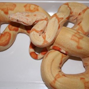 IMG_0450 (Small).JPG