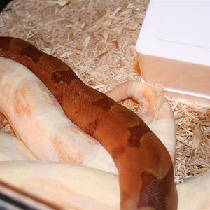 IMG_0453 (Small).JPG