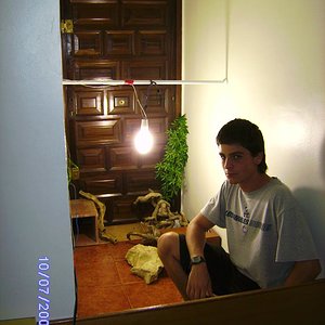 terrario telmo redu.JPG