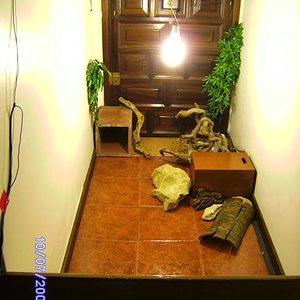 terrario panoramico redu.JPG