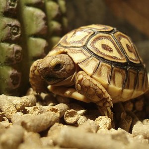 Picture 026 (Medium).jpg