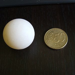 Huevo de Trionyx ferox.jpg