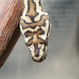 IMG_0840 (6) (Medium).jpg