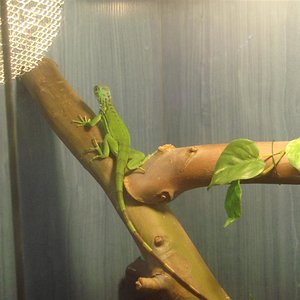 DSC02230 (Large).JPG