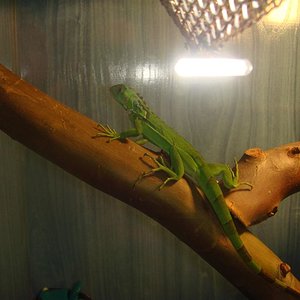 DSC02231 (Large).JPG