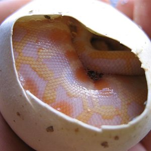 IMG_4509 (Medium).JPG