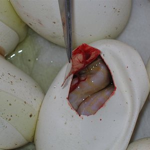 IMG_4514 (Medium).JPG