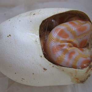 IMG_4518 (Medium).JPG