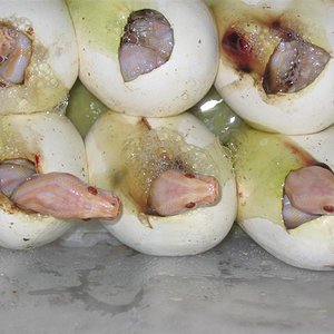 IMG_4541 (Medium).JPG