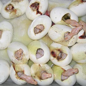 IMG_4542 (Medium).JPG