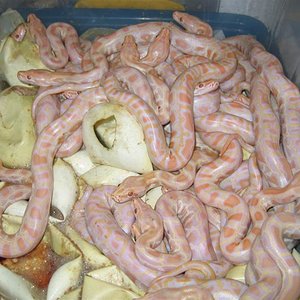 IMG_4563 (Medium).JPG