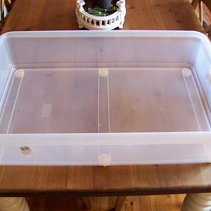 caja plastico 1.JPG