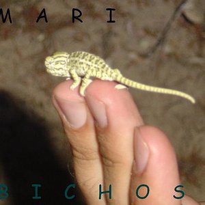 Censo camaleon 08-07 008.jpg