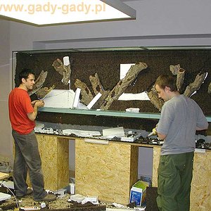 vivarium-kaz-etap3.jpg
