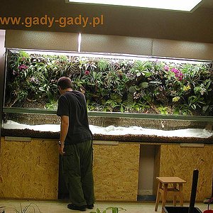 vivarium-kaz-etap8.jpg