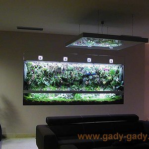 vivarium-kaz1a.jpg