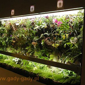 vivarium-kaz.jpg