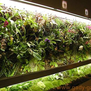 vivarium-kaz-a.jpg