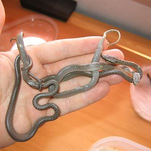 IMG_4733 (Small).JPG