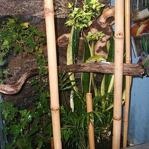 DSCF4186 [640x480].JPG