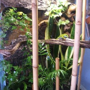 DSCF4185 [640x480].JPG