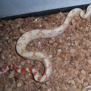 LILO Y STICH (7).JPG