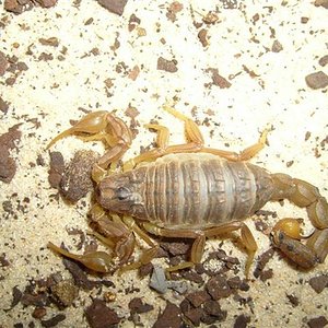 S7000633 (Medium) (Small).JPG