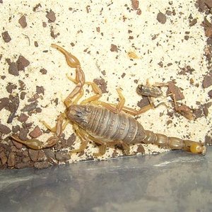 S7000631 (Medium) (Small).JPG