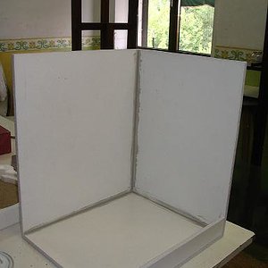 terrario litoria 001.jpg