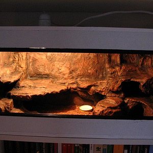 terrario euble 2 001.jpg