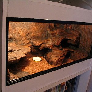 terrario euble 2 006.jpg