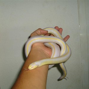 S7000662 (Small).JPG