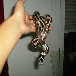 S7000664 (Small).JPG