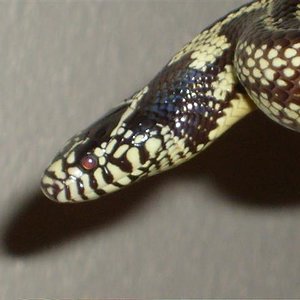 S7000673 (Small).JPG