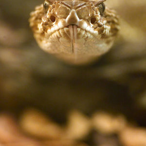 02. Nat. Misteriosa..jpg