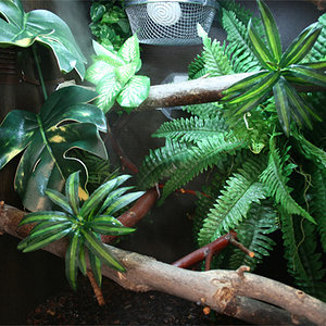 terrario-hortulanus-detalle.jpg