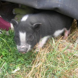 DSCN2849 (Medium).JPG